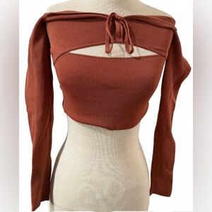 BarDot Terracotta Shade Off-Shoulder Long Sleeve Crop Top Size Medium
